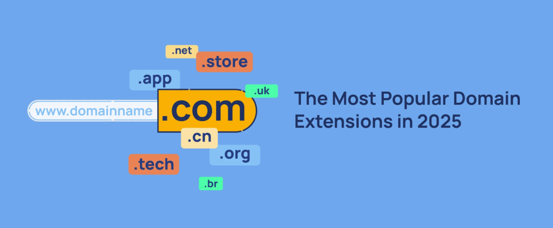 أفضل الممارسات لاختيار دومين (Domain) احترافي لشركتك في 2025