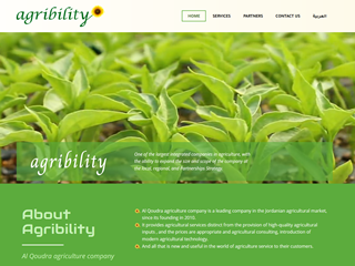 Jordan Webmaster for domain, website design and hosting Jordan Webmaster for domain, website design and hosting