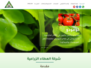 Jordan Webmaster for domain, website design and hosting Jordan Webmaster for domain, website design and hosting