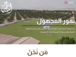 مزارع الياسمين للتمور مزارع الياسمين للتمور